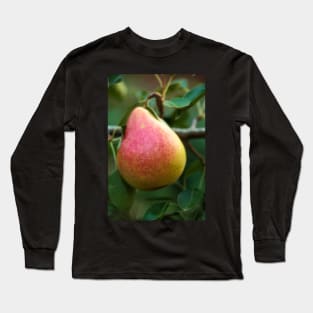 Red yellow pear on a branch Long Sleeve T-Shirt